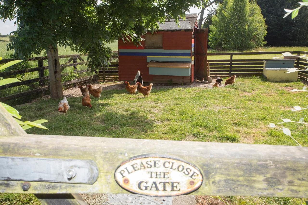 Decoy Country Cottages Ναβάν Εξωτερικό φωτογραφία